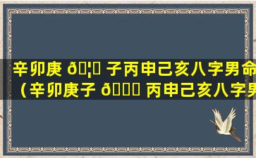 辛卯庚 🦊 子丙申己亥八字男命（辛卯庚子 🕊 丙申己亥八字男命怎么样）